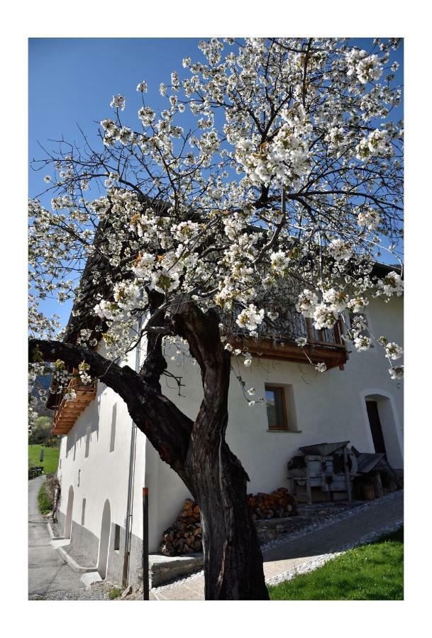 La Maison Abeil LʼArgentière-la-Bessée Eksteriør bilde